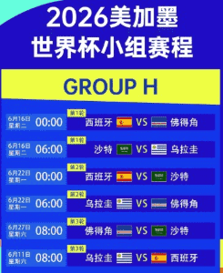 竞彩足球数据面板